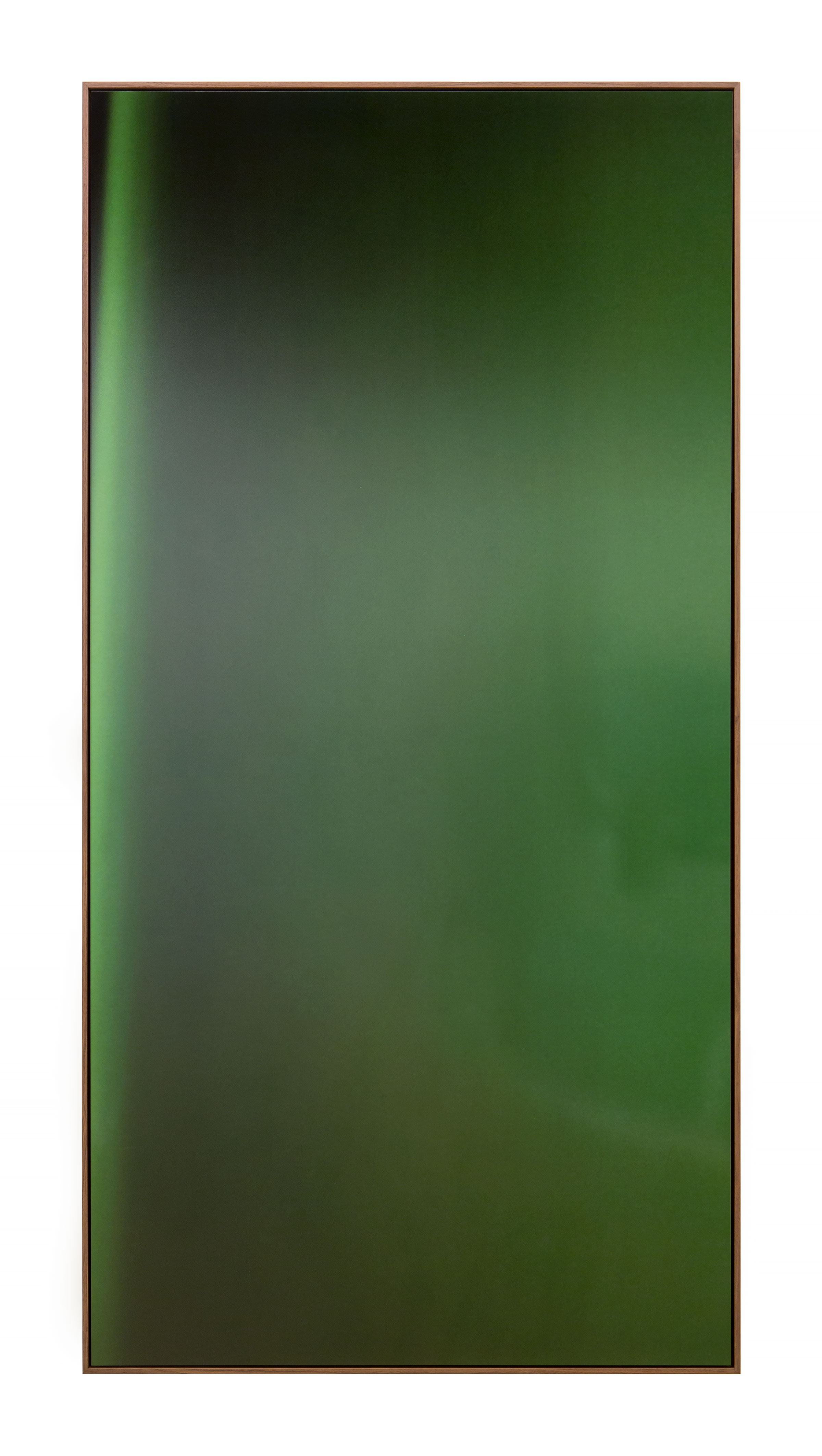 Jan Dibbets, New Colorstudies - Moss Green Vertical, 1976-2012